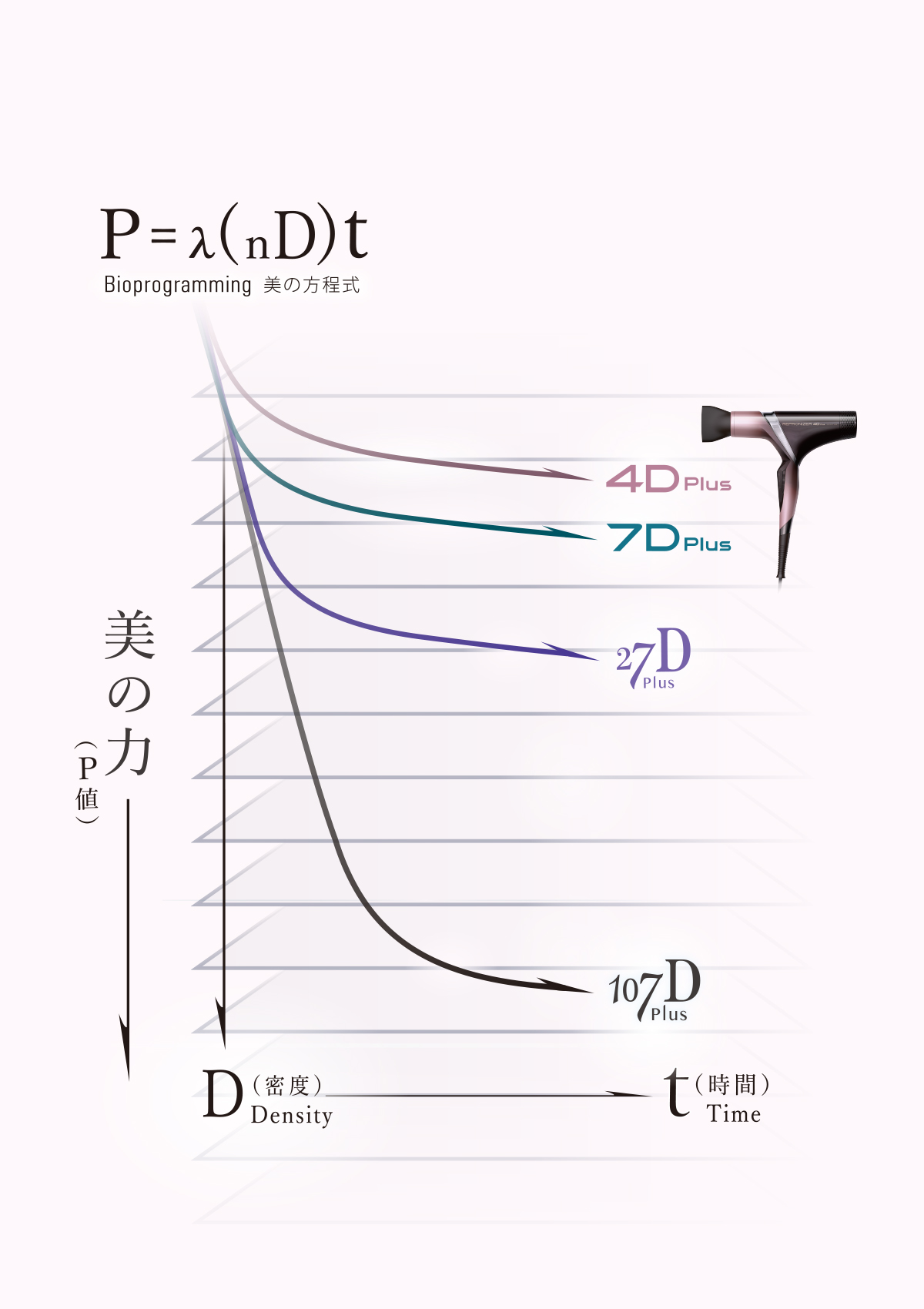 美の方程式